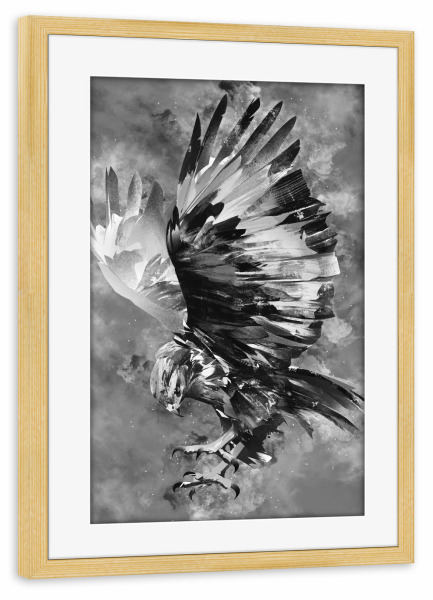 Poster mit Rahmen kiefer "Eagle BW (matart)" artboxONE - Natur,Tiere - Eagle,Eagles,Bird,Animal,Animals,Vogel,Tier,Wild,Natur,Nature