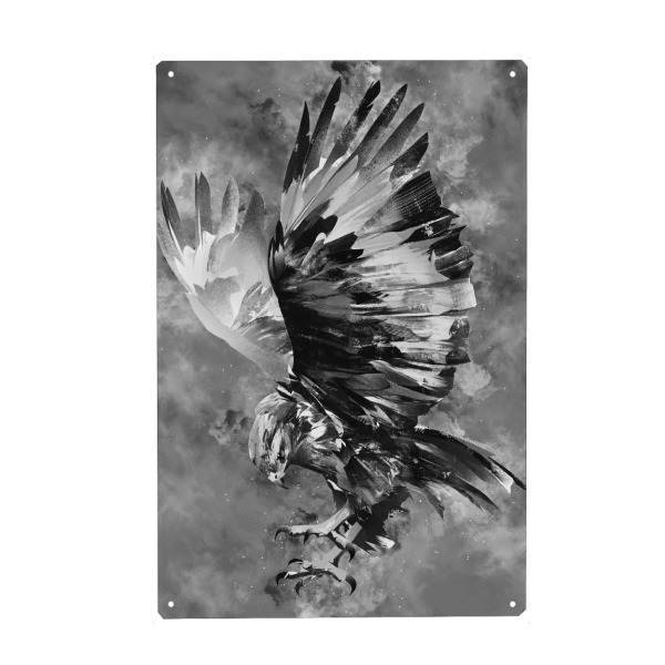 Metall Poster "Eagle BW (matart)" artboxONE - Natur,Tiere - Eagle,Eagles,Bird,Animal,Animals,Vogel,Tier,Wild,Natur,Nature - Blechschild