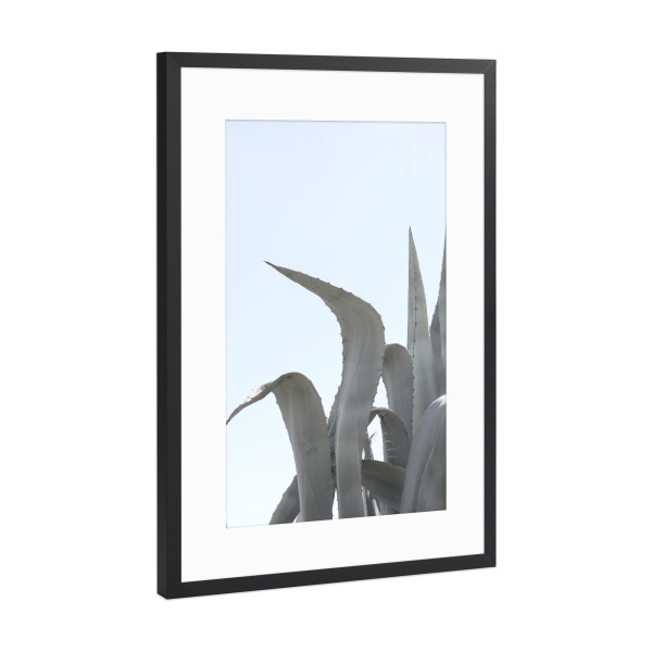 Poster mit Rahmen Schwarz (Metallic) "Charming Agave" artboxONE - Natur,Floral
