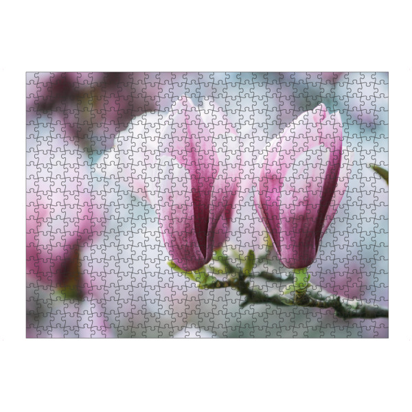 artboxONE Puzzle "Closeup of blossoming magnolia" artboxONE - Natur,Floral