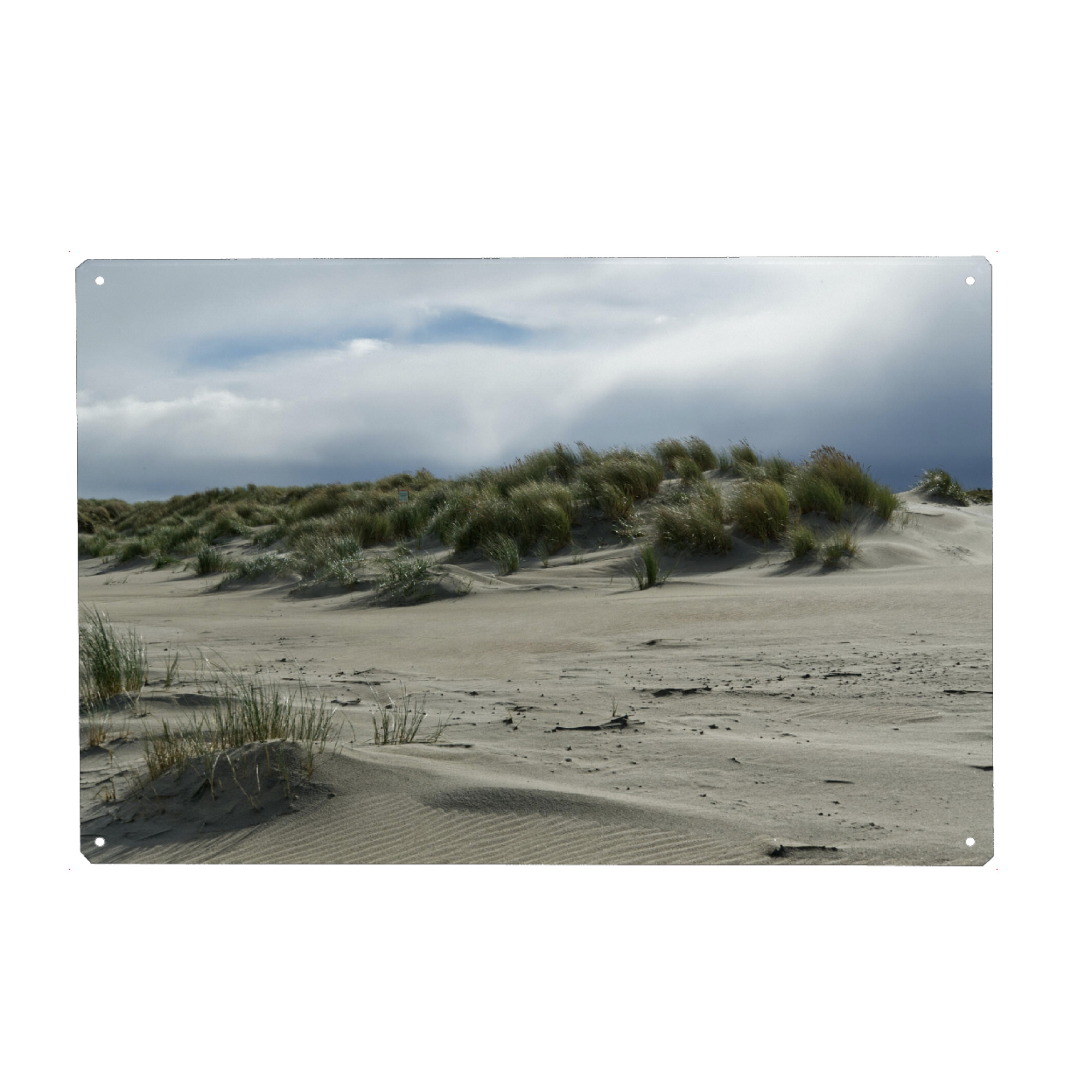 Metall Poster "Dünen auf Baltrum" artboxONE - Natur,Reise,Reise / Strand und Meer