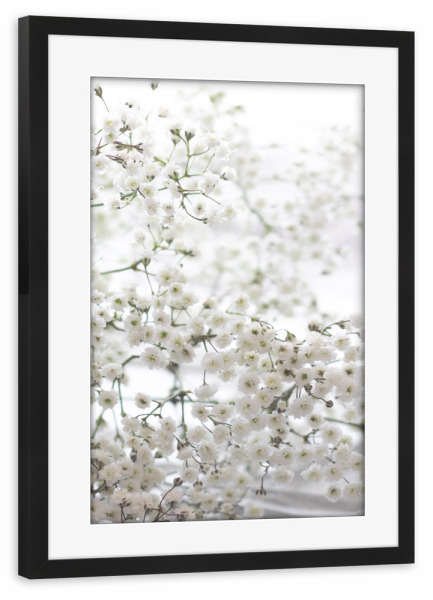 Poster mit Rahmen schwarz "Delicate Baby's Breath" artboxONE - Natur,Floral