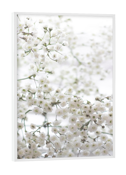 Poster mit weißem Rahmen "Delicate Baby's Breath" artboxONE - Natur,Floral