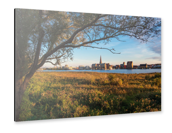 Alu-Dibond "Baum und Schilf in Rostock" 30x20 cm artboxONE