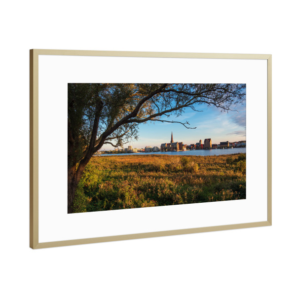 Poster mit Rahmen Gold "Baum und Schilf in Rostock" artboxONE - Natur,Reise,Architektur,Städte / Weitere