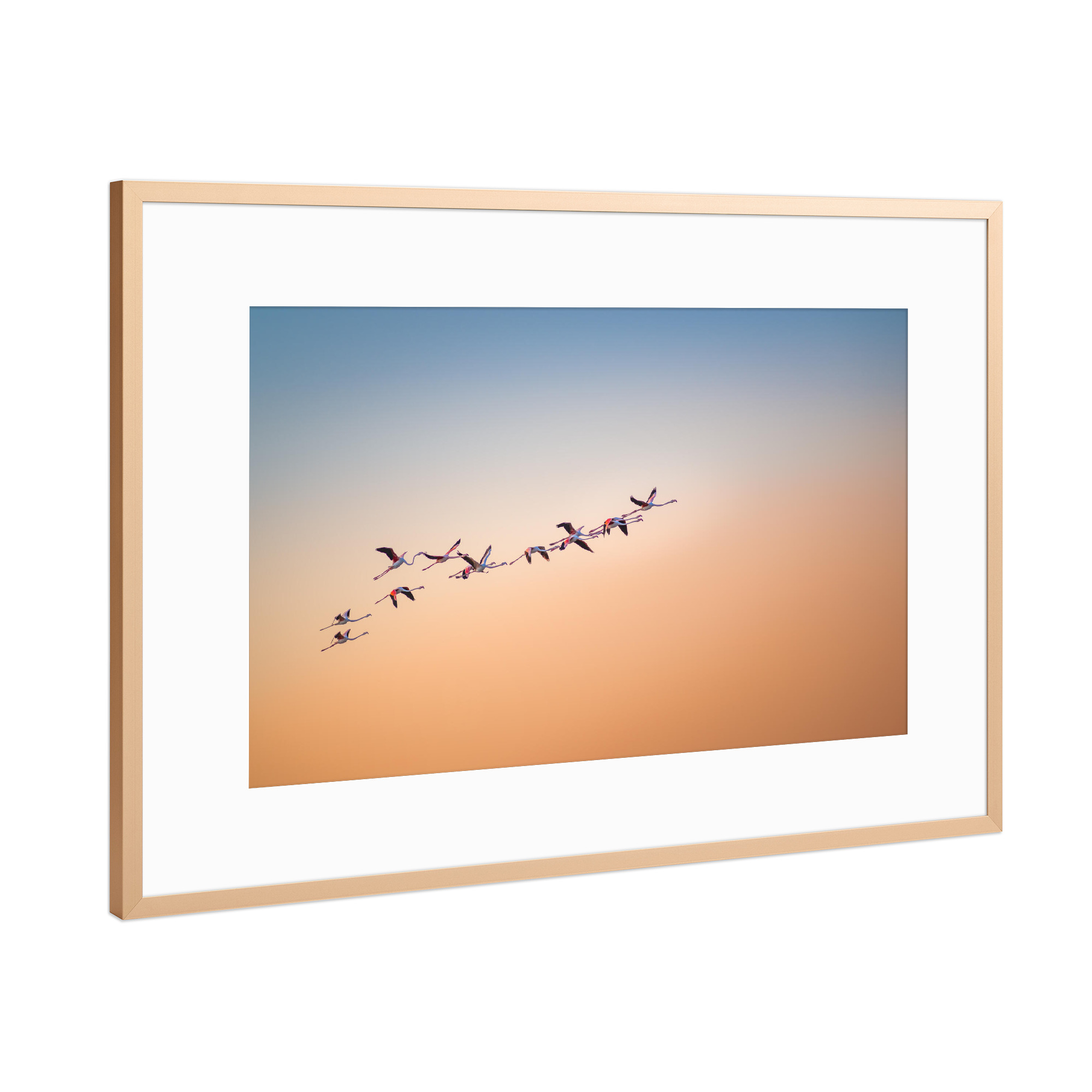Poster mit Rahmen Kupfer "Up and Away" artboxONE - Natur,Reise,Tiere