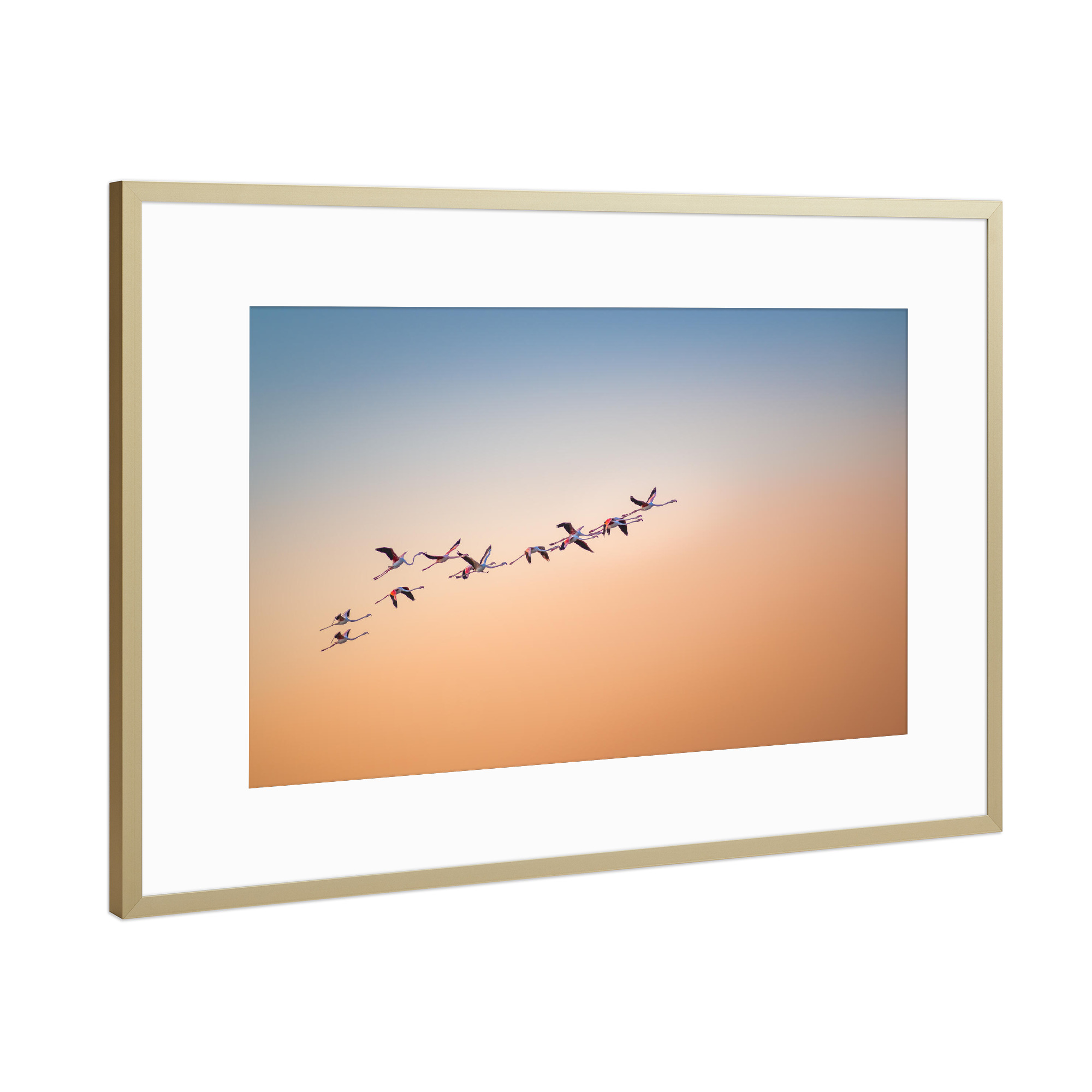 Poster mit Rahmen Gold "Up and Away" artboxONE - Natur,Reise,Tiere - Flamingos,Oman,Himmel,Natur,Flug,Reise,Animals,Tiere,Birds,Vögel,Flying,Sun,Sonne
