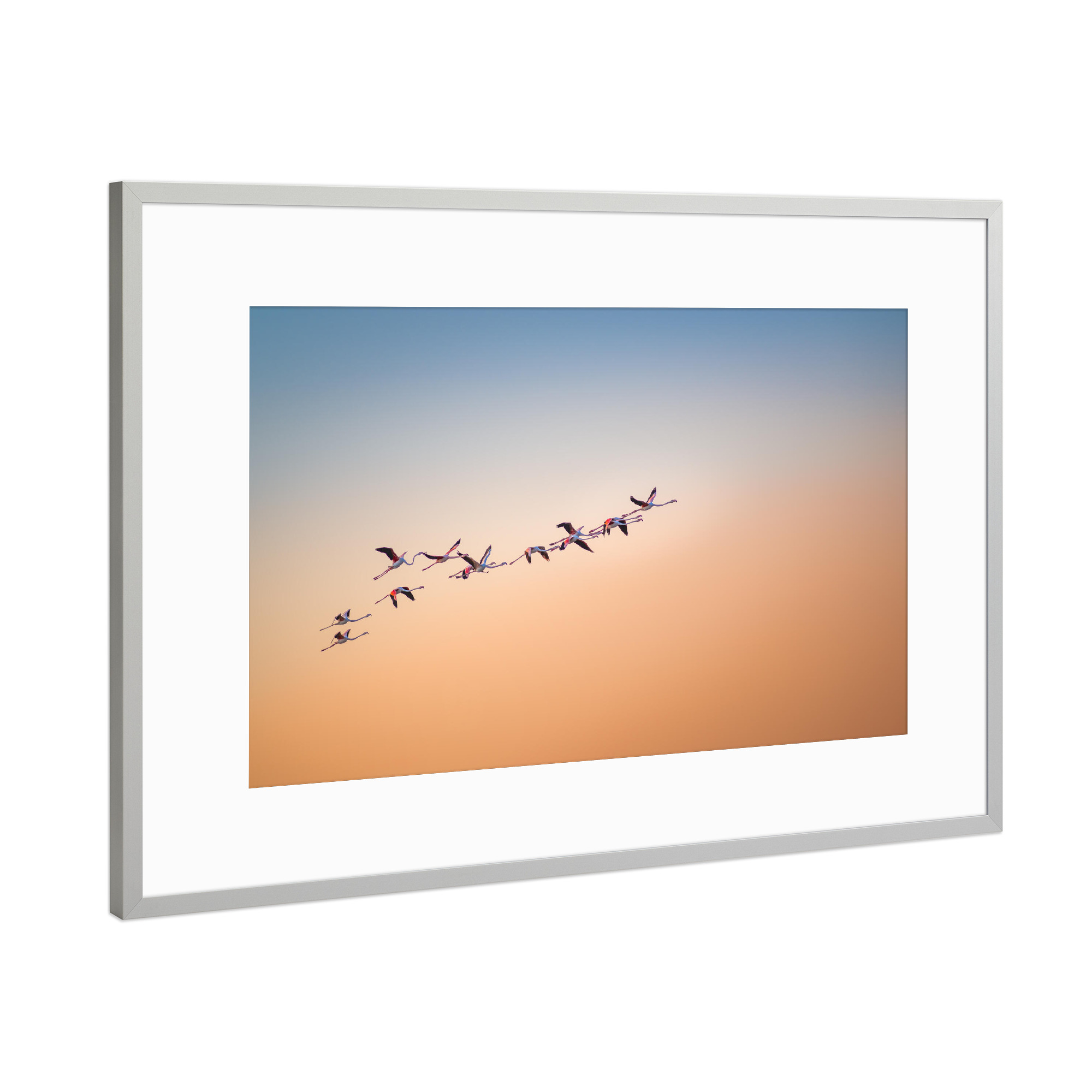 Poster mit Rahmen Silber "Up and Away" artboxONE - Natur,Reise,Tiere