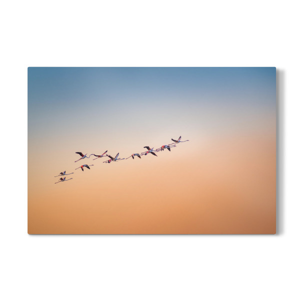 Galerie-Print "Up and Away" 30x20 cm artboxONE