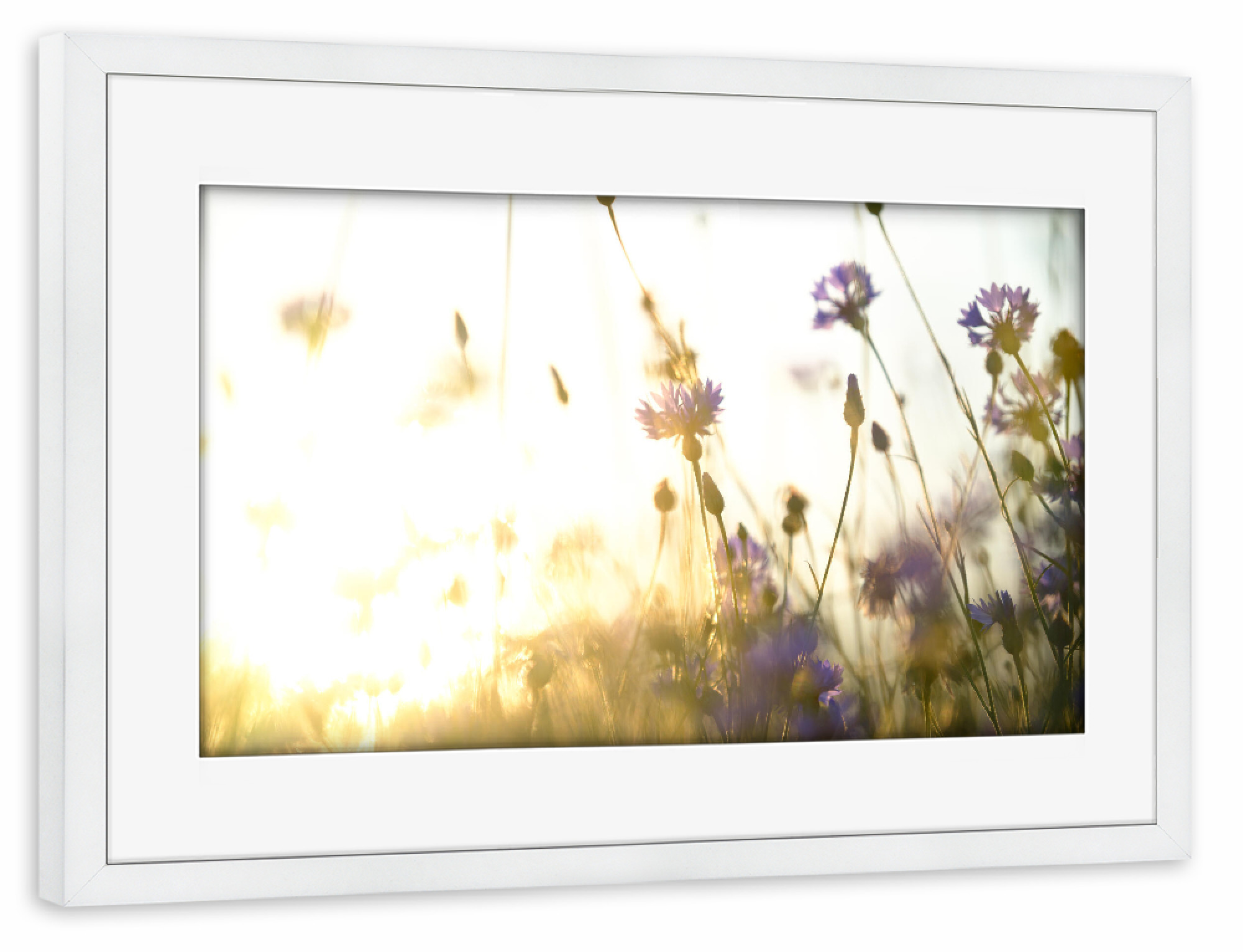 Poster mit Rahmen weiß "Dreamy flower bokeh" artboxONE - Natur,Floral
