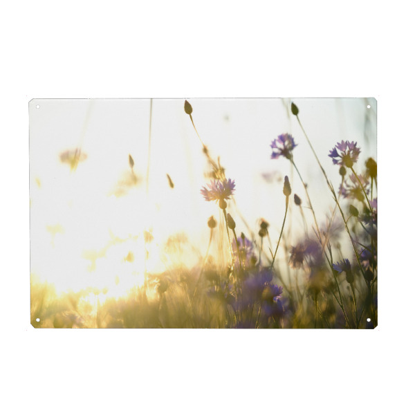 Holzbild "Dreamy flower bokeh" artboxONE - Natur,Floral