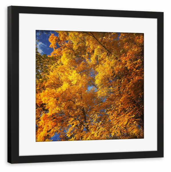 Poster mit Rahmen schwarz "Herbstliebe" artboxONE - Städte,Städte / Berlin,Natur - Herbst,Autumn,Natur,Nature,Leaves,Blätter