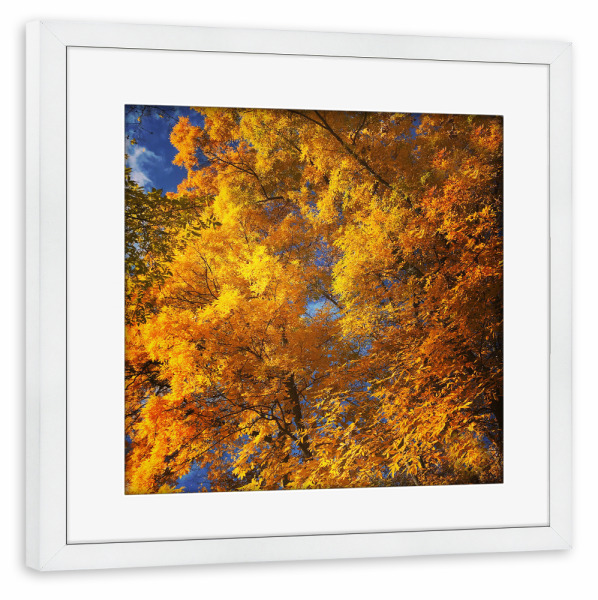 Poster mit Rahmen weiß "Herbstliebe" artboxONE - Städte,Städte / Berlin,Natur - Herbst,Autumn,Natur,Nature,Leaves,Blätter