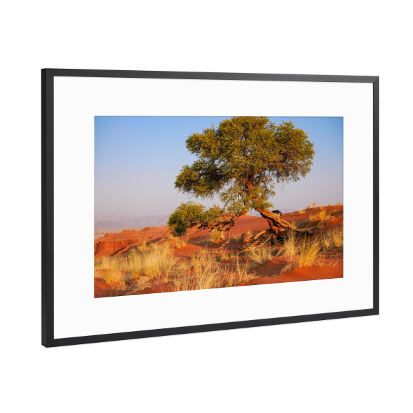 Poster mit Rahmen Schwarz (Metallic) "Desert Green" artboxONE - Natur,Reise / Afrika