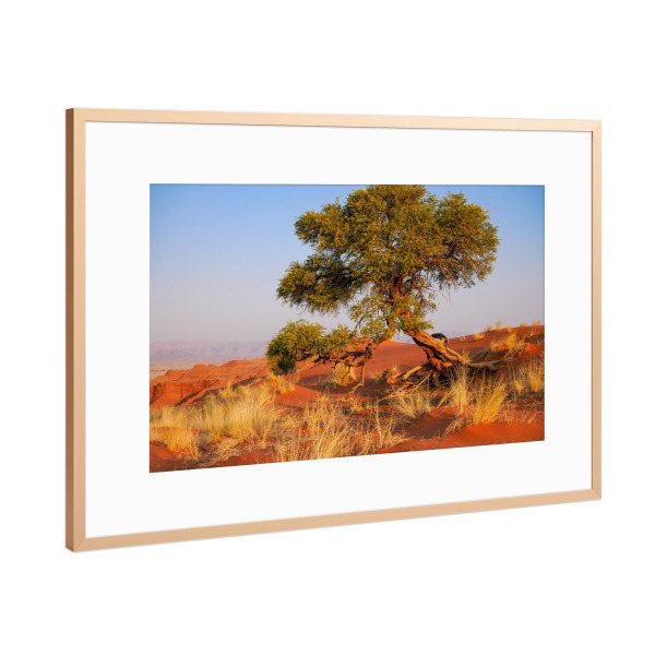 Poster mit Rahmen Kupfer "Desert Green" artboxONE - Natur,Reise / Afrika