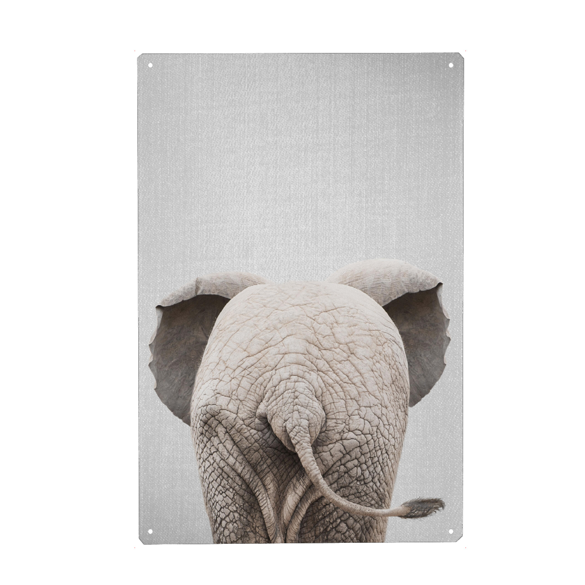 Metall Poster "Baby Elephant Tail - Colorful" artboxONE - Natur,Für Kinder,Tiere,Reise / Afrika,Lustig