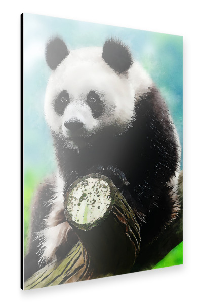 Alu-Dibond "Panda Bear" 30x20 cm artboxONE