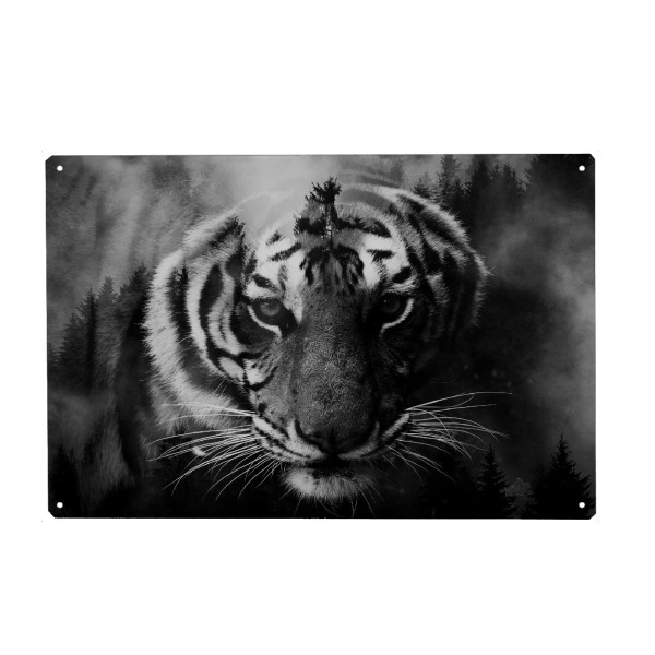 Metall Poster "Tiger & Forest bw" artboxONE - Natur,Tiere - Tiger,Cat,Animal,Forest,Wild,Tier,Wald,Natur,Nature,Portrait,Schwarzweiß,Blackandwhite