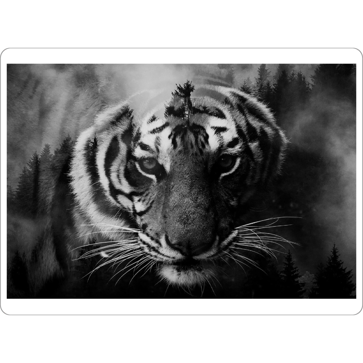 Tischset "Tiger & Forest bw" artboxONE - Natur,Tiere - Tiger,Cat,Animal,Forest,Wild,Tier,Wald,Natur,Nature,Portrait,Schwarzweiß,Blackandwhite