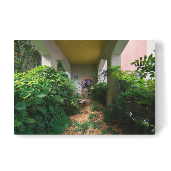 Leinwandbild "The Return of Plants" artboxONE - Natur,Architektur