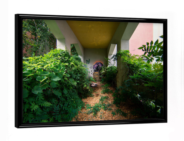 Poster mit schwarzem Rahmen "The Return of Plants" artboxONE - Natur,Architektur