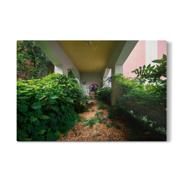 Galerie-Print "The Return of Plants" 30x20 cm artboxONE