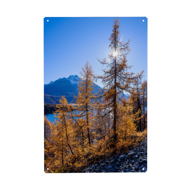 Holzbild "Silsersee in fall" artboxONE - Natur,Reise