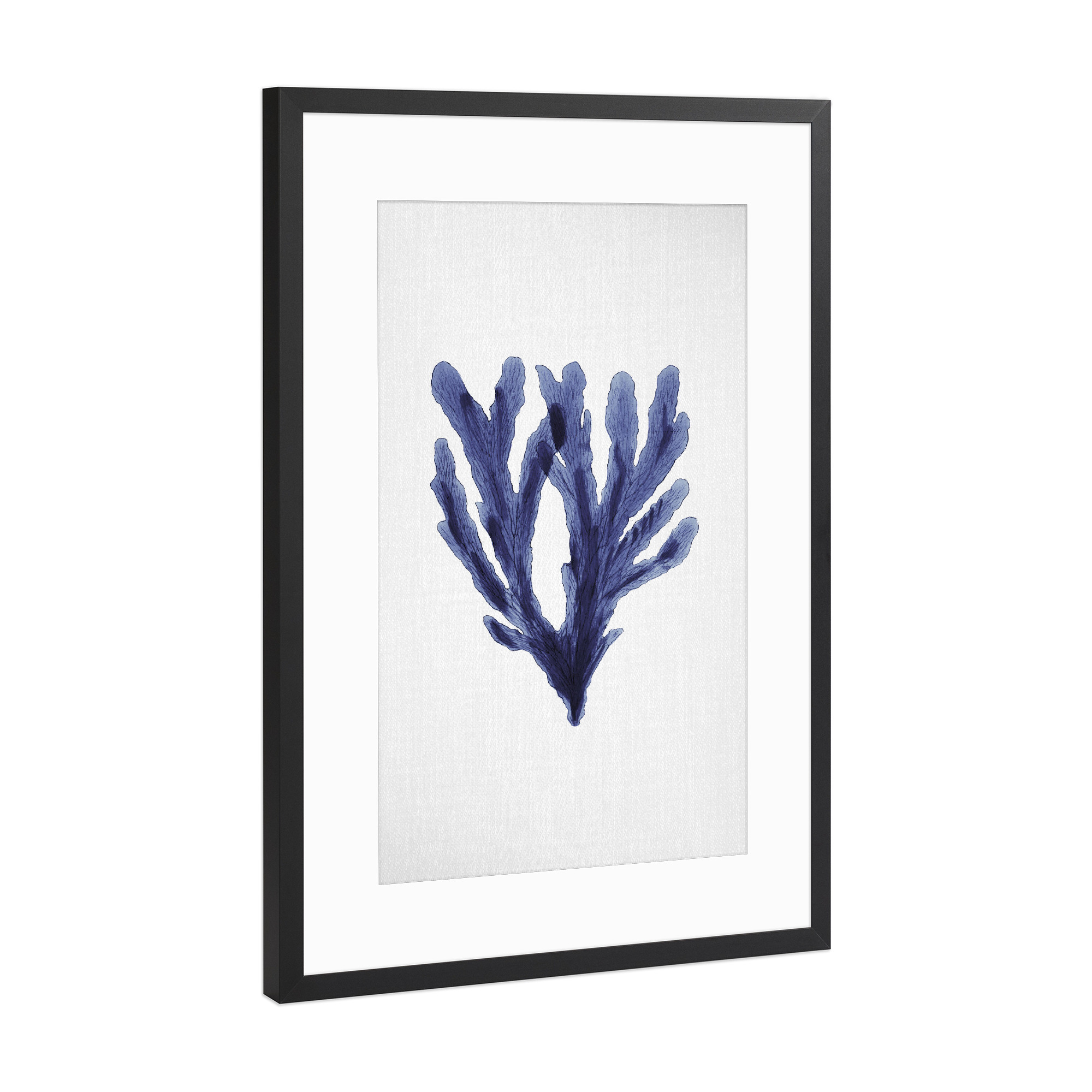 Poster mit Rahmen Schwarz (Metallic) "Watercolor Seaweeds" artboxONE - Natur,Floral,Unterwasser