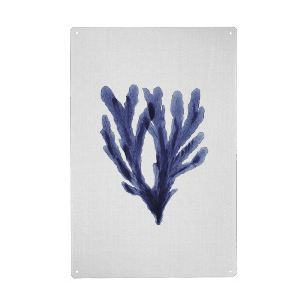 Holzbild "Watercolor Seaweeds" artboxONE - Natur,Floral,Unterwasser