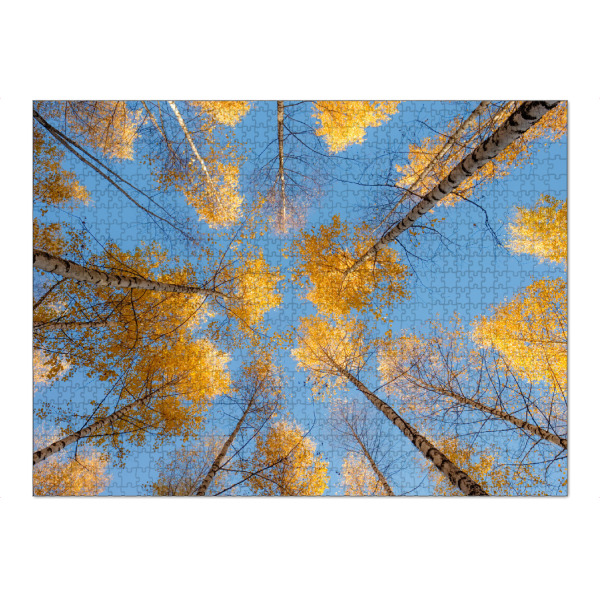 Puzzle Ravensburger "Goldener Wald" artboxONE - Natur,Reise