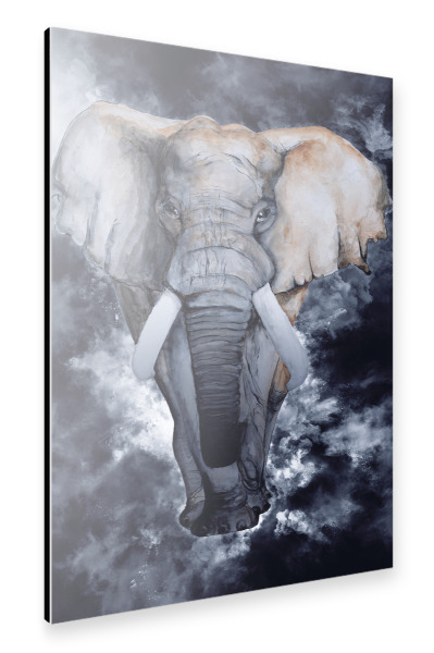 Alu-Dibond "Elephant Portrait I" 30x20 cm artboxONE
