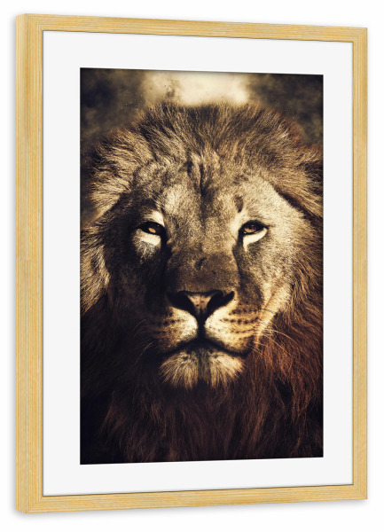 Poster mit Rahmen kiefer "The Lion King I" artboxONE - Natur,Tiere - Lion,Lions,Animal,Nature,Portrait,Wildlife,Wild,Cat,Katze