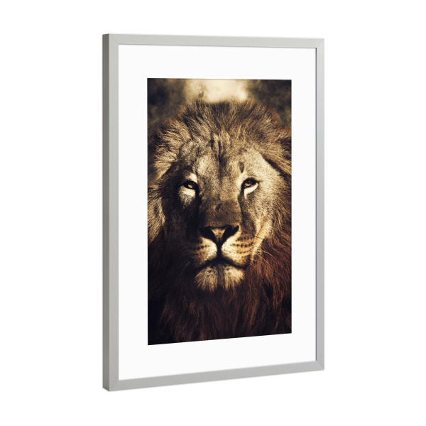 Poster mit Rahmen Silber "The Lion King I" artboxONE - Natur,Tiere - Lion,Lions,Animal,Nature,Portrait,Wildlife,Wild,Cat,Katze