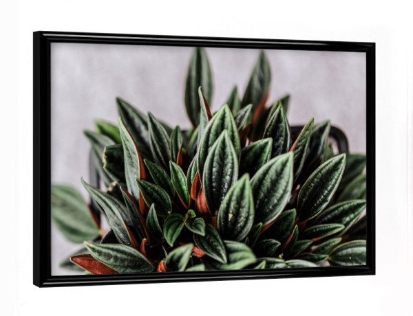 Poster mit schwarzem Rahmen "Blattstadt" artboxONE - Natur,Floral