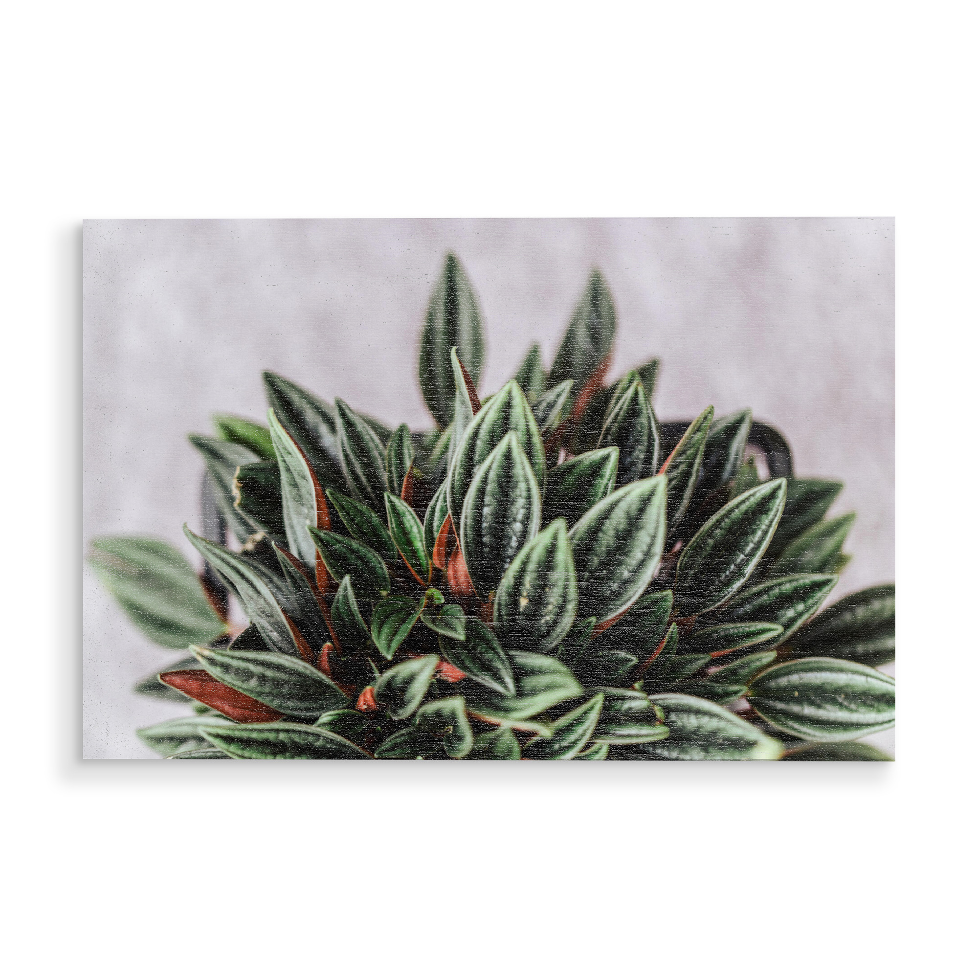 Holzbild "Blattstadt" artboxONE - Natur,Floral