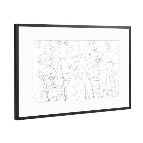 Poster mit Rahmen Schwarz (Metallic) "Gräser im Sommerwind" artboxONE - Natur,Floral,Abstrakt,Schwarzweiß - Gräser,Natur,Abstrakt,Nature,Abstact