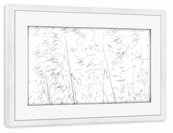 Poster mit Rahmen weiß "Gräser im Sommerwind" artboxONE - Natur,Floral,Abstrakt,Schwarzweiß - Gräser,Natur,Abstrakt,Nature,Abstact