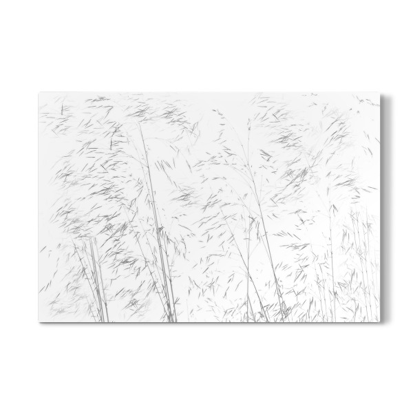 Galerie-Print "Gräser im Sommerwind" 30x20 cm artboxONE