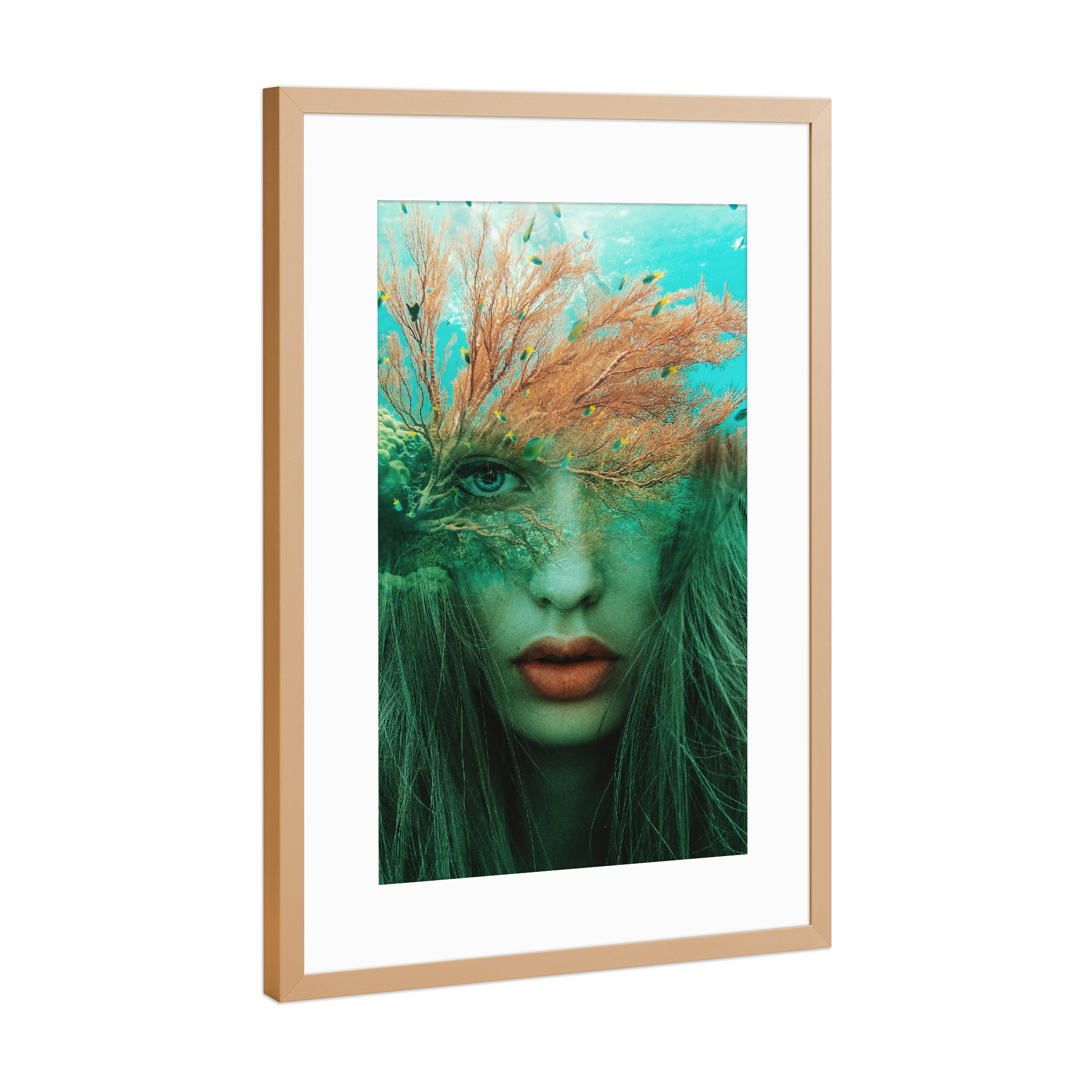 Poster mit Rahmen Kupfer "Coraline algae" artboxONE - Natur,Menschen,Unterwasser