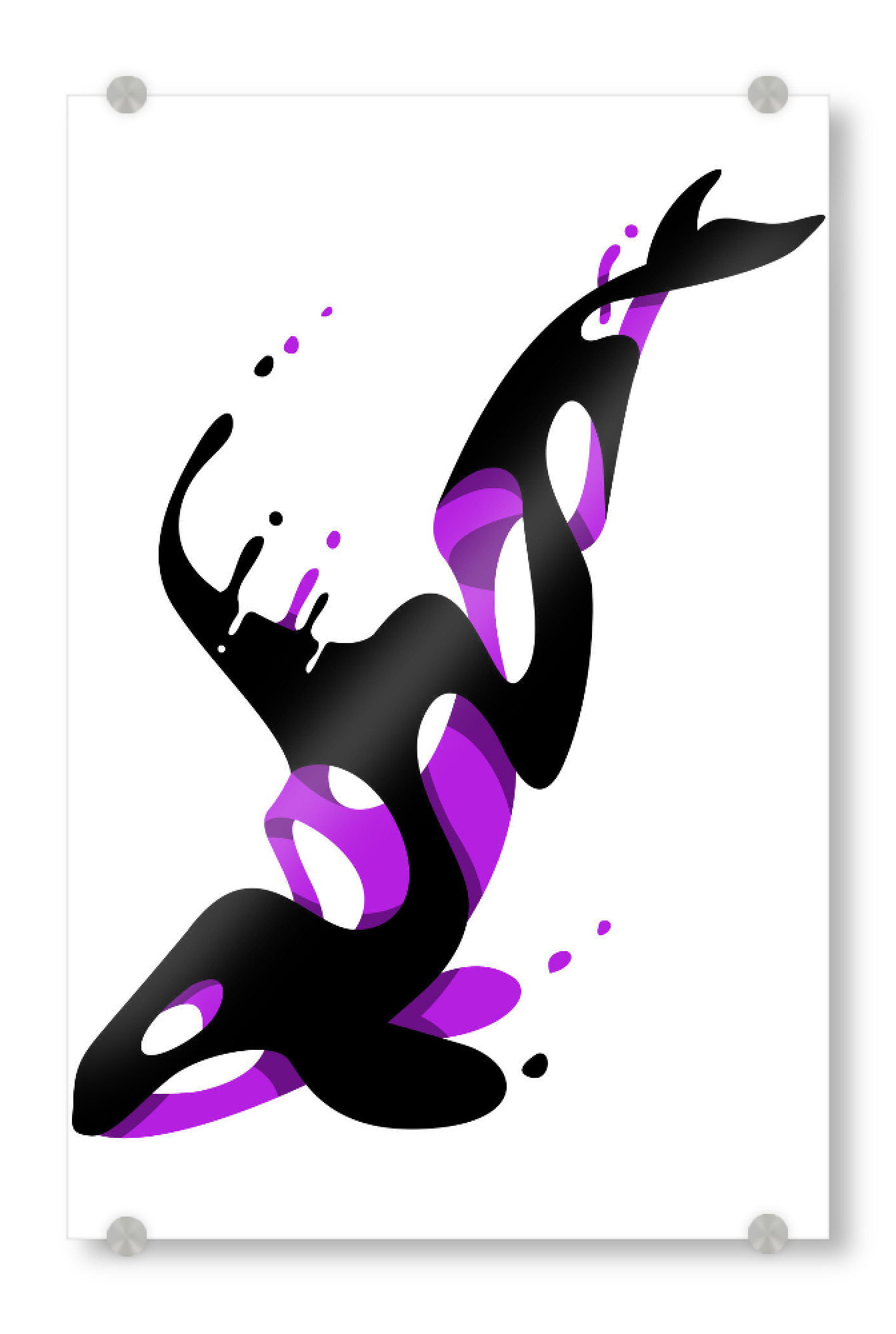 Acrylglasbild "Liquid Killer Whale" artboxONE - Tiere,Abstrakt