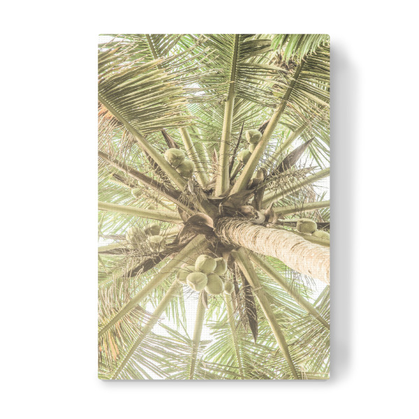 Leinwandbild "Coco A" artboxONE - Natur,Floral,Abstrakt