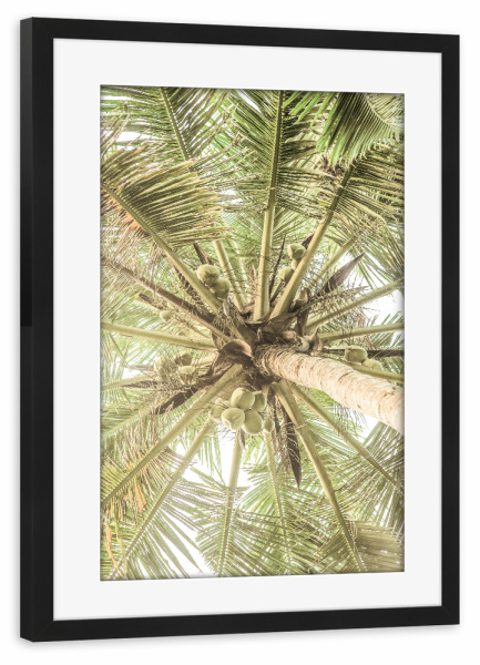 Poster mit Rahmen schwarz "Coco A" artboxONE - Natur,Floral,Abstrakt