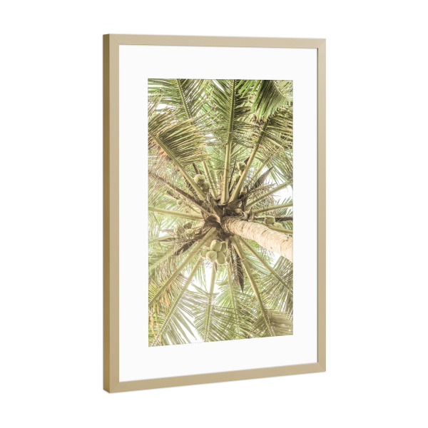 Poster mit Rahmen Gold "Coco A" artboxONE - Natur,Floral,Abstrakt