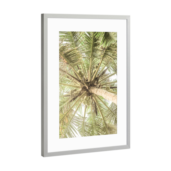 Poster mit Rahmen Silber "Coco A" artboxONE - Natur,Floral,Abstrakt