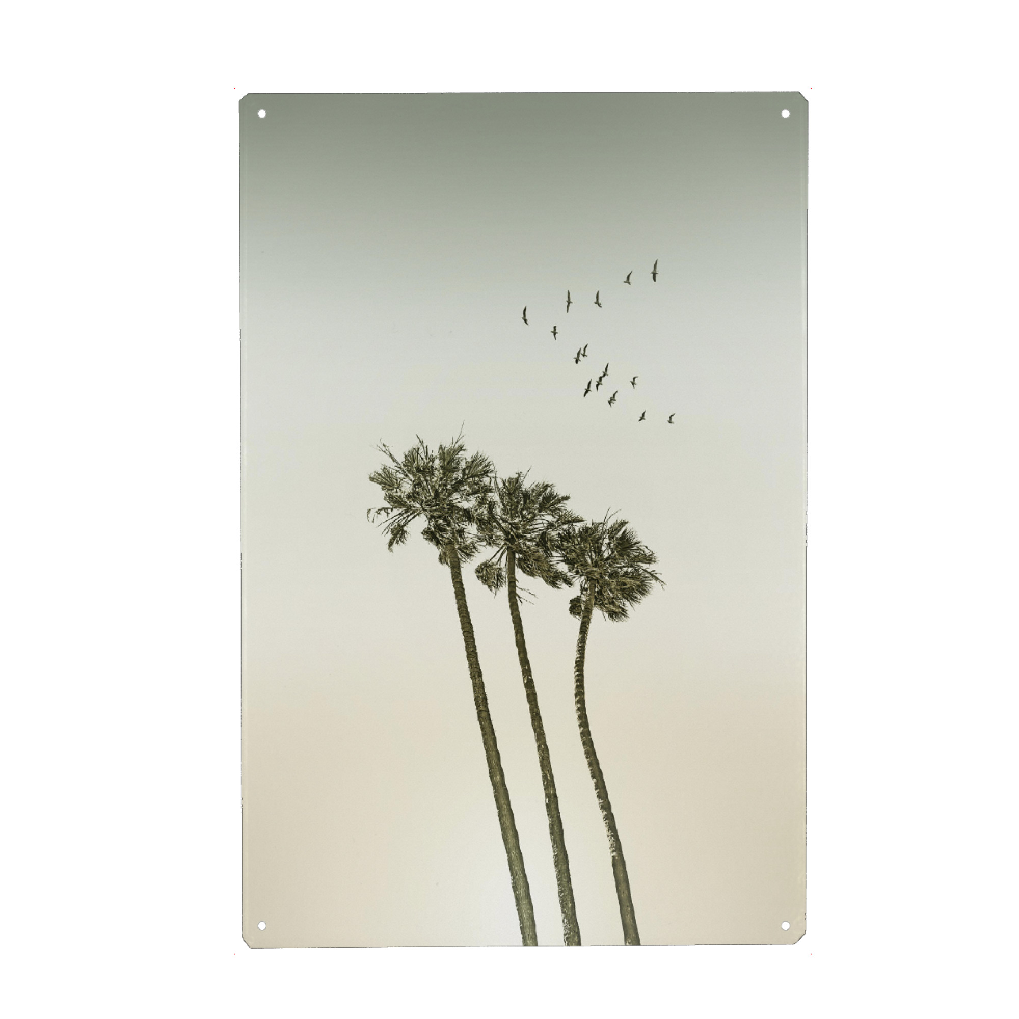 Metall Poster "Vintage Palmen im Sonnenuntergang" artboxONE - Natur,Reise / Strand und Meer