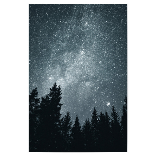 Poster 30x20 cm "Sternenhimmel über den Baumkronen" artboxONE - Natur,Reise,Galaxy