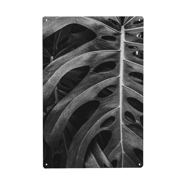 Metall Poster "BW MONSTERA" artboxONE - Natur - Nature,Foliage,Leaf,Monstera,Garden,Bw,Natur,Blatt,Schwarzweiß,Blackandwhite - Blechschild
