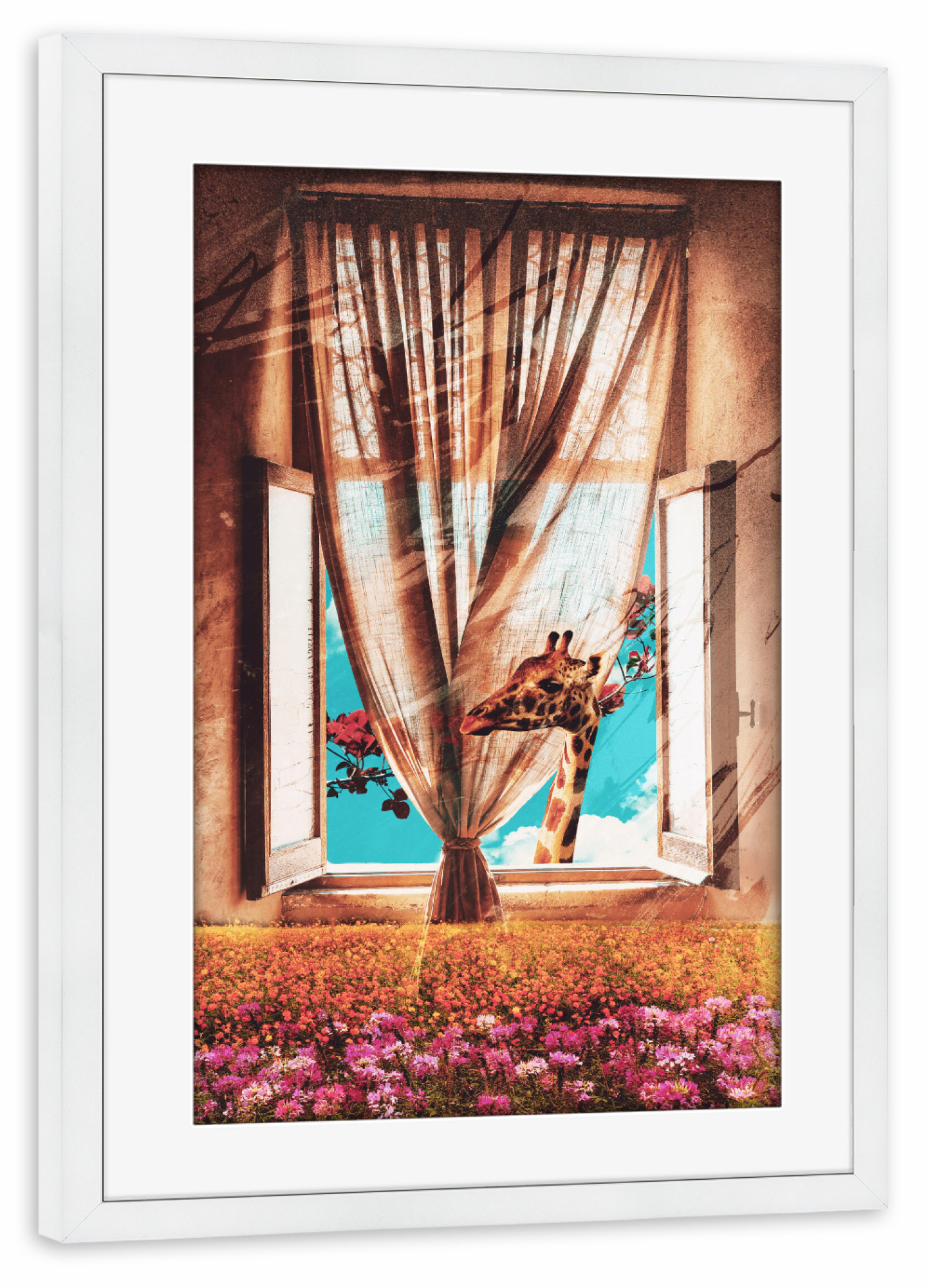 Poster mit Rahmen weiß "Giraffe on the window" artboxONE - Natur,Floral,Tiere,Architektur