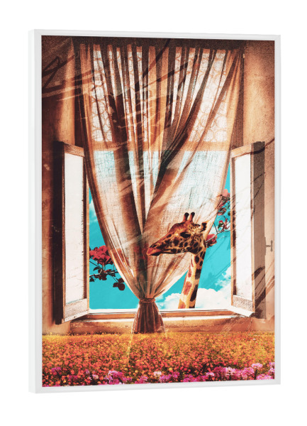 Poster mit weißem Rahmen "Giraffe on the window" artboxONE - Natur,Floral,Tiere,Architektur