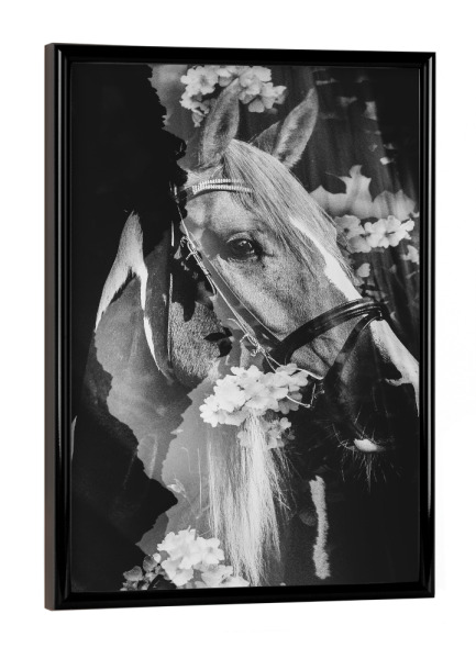 Poster mit schwarzem Rahmen "Spring horse I" artboxONE - Natur,Floral,Tiere